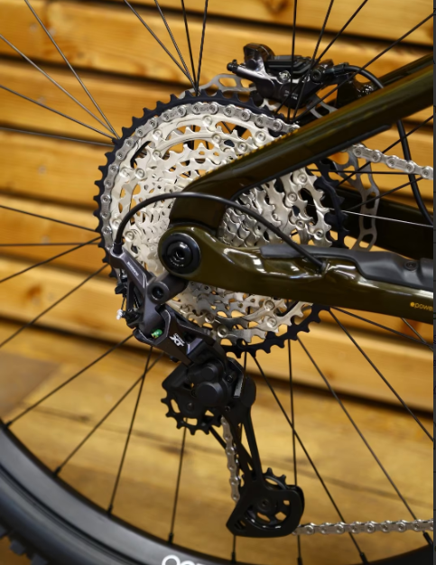 Orbea Wild carbon M10 custom 2025